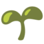 :seedling: 🌱