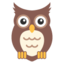 🦉 🦉