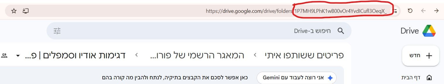 3ca7ee43-5a49-4236-8cb4-4529a00344d0-צילום מסך 2026-05-11 221415.jpg
